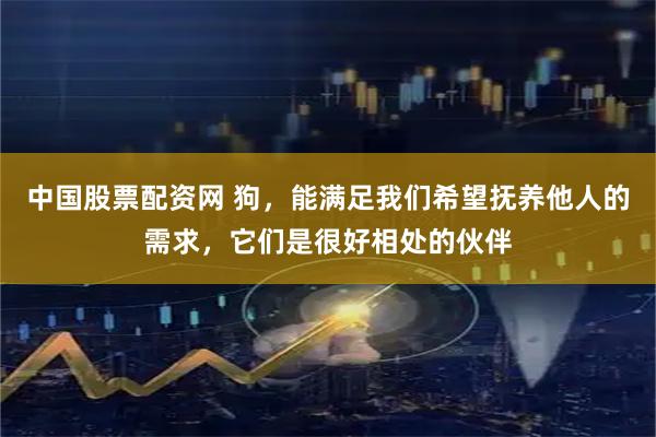 中国股票配资网 狗，能满足我们希望抚养他人的需求，它们是很好相处的伙伴