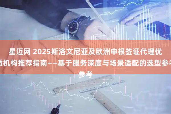 星迈网 2025斯洛文尼亚及欧洲申根签证代理优质机构推荐指南——基于服务深度与场景适配的选型参考