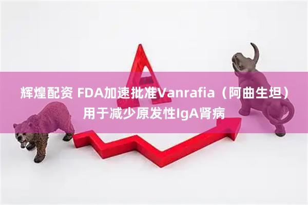 辉煌配资 FDA加速批准Vanrafia（阿曲生坦）用于减少原发性IgA肾病